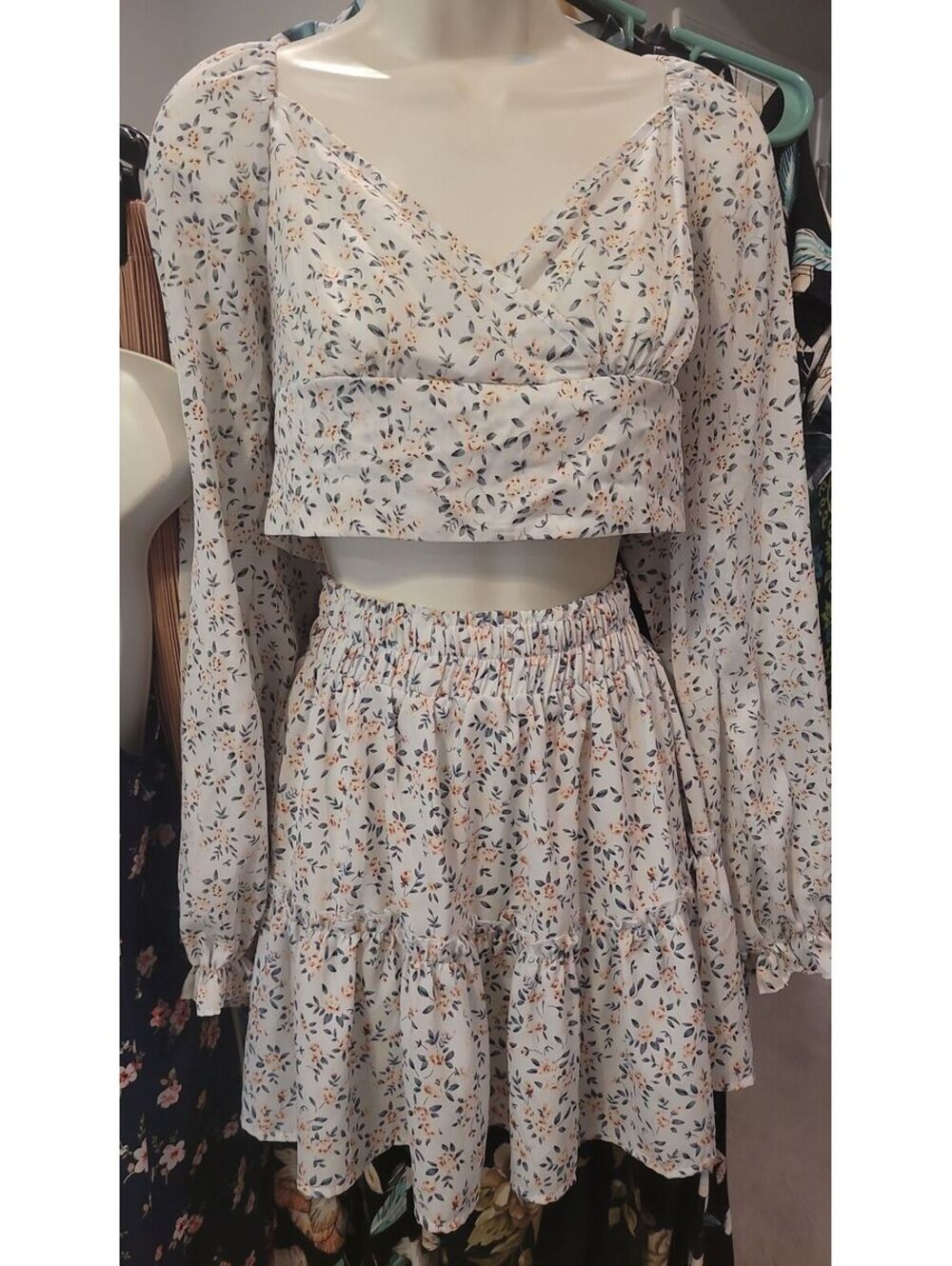 SHEIN Floral Fairy Two-Piece Set - Long Sleeve Crop Top (M) & Ruffled Skirt (XS)